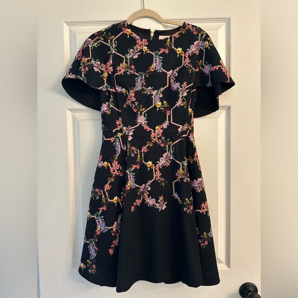 Ted Baker Vianna Cape Sleeve Dress - Picture 2 of 2